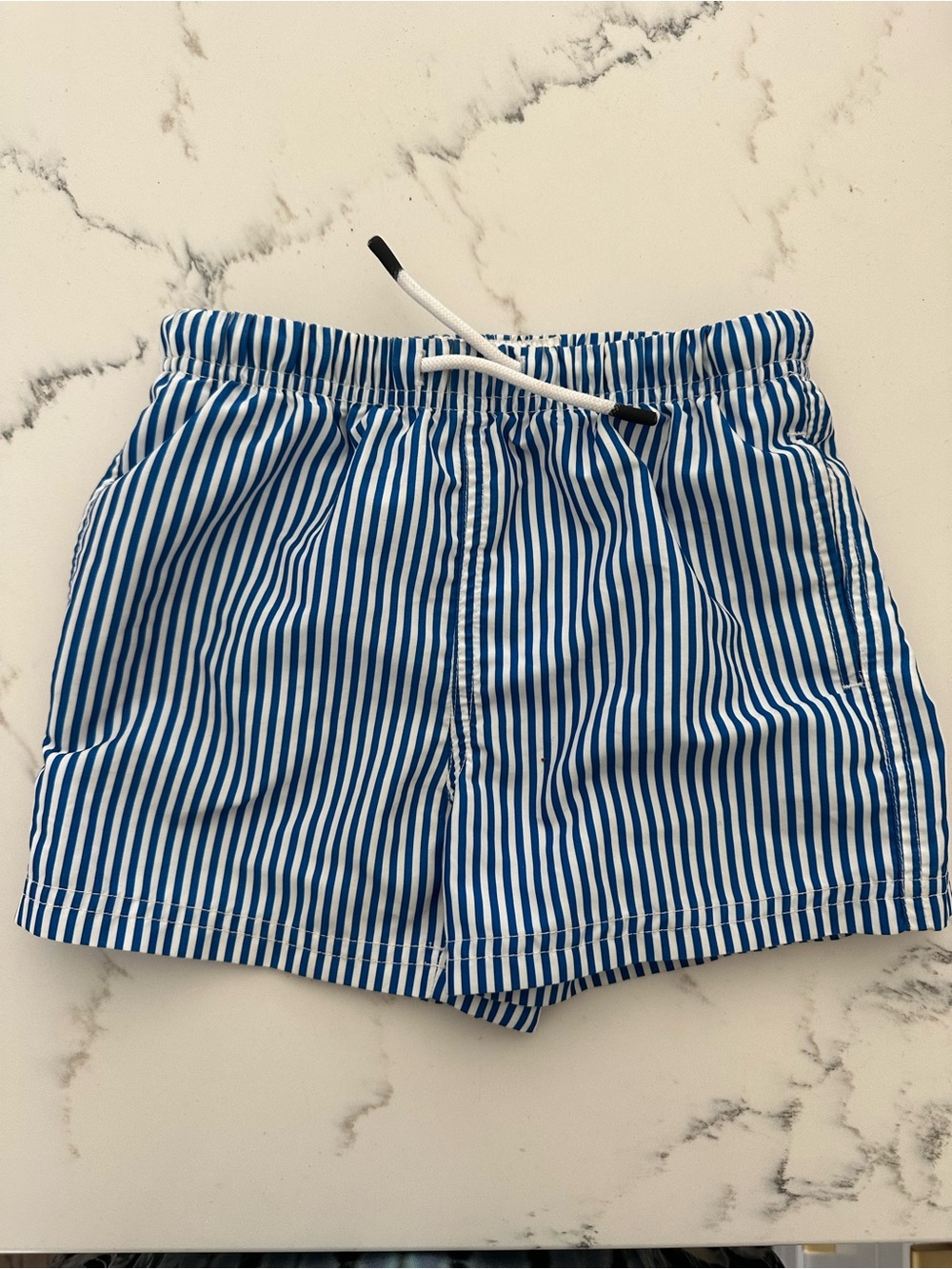 Boy Toddler Blue and White Striped Swim Shorts, 4T